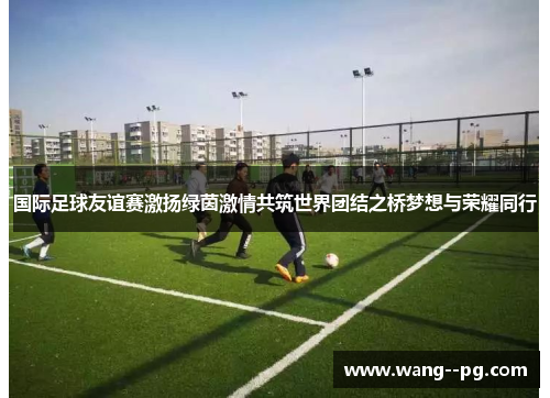 国际足球友谊赛激扬绿茵激情共筑世界团结之桥梦想与荣耀同行