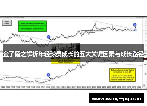 金子隆之解析年轻球员成长的五大关键因素与成长路径