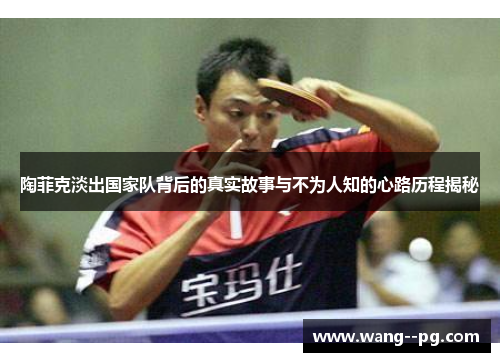 陶菲克淡出国家队背后的真实故事与不为人知的心路历程揭秘