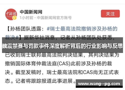 魏震禁赛与罚款事件深度解析背后的行业影响与反思